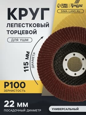 Круг лепестковый торцевой конический ТУНДРА, 115×22 мм, Р100
