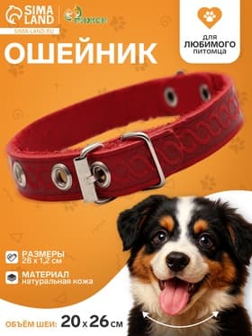 Ошейник, 1.2 см, ОШ 20-26 см, однослойный, неукрашенный, цвет и вид МИКС