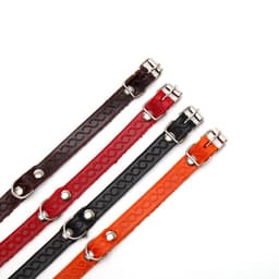 Ошейник, 1.2 см, ОШ 20-26 см, однослойный, неукрашенный, цвет и вид МИКС