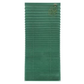 Штора плиссе 50×160, цвет зеленый