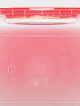 Контейнер для шашлыка c ручкой BEROSSI Leto, 6 л, пластик, прозрачный, крышка красная