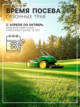 Газонная травосмесь «Мавританский», 100 г