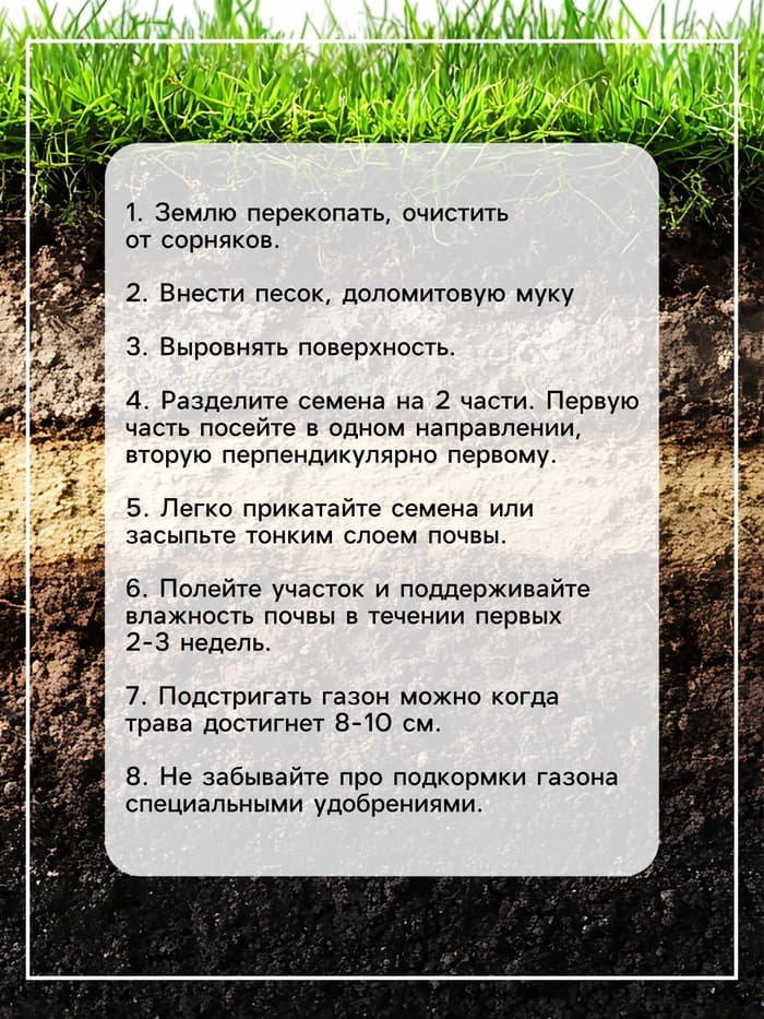 Газонная травосмесь «Мавританский», 100 г