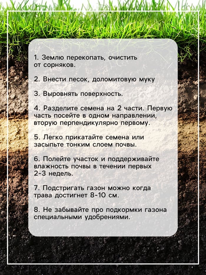 Газонная травосмесь «Универсальный», 100 г