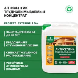 Антисептик для наружных работ Prosept Exterior, концентрат 1:19, 5 л