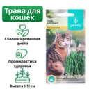 Семена Трава для кошек, 10 г, «Евро-семена»