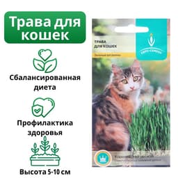 Семена Трава для кошек, 10 г, «Евро-семена»