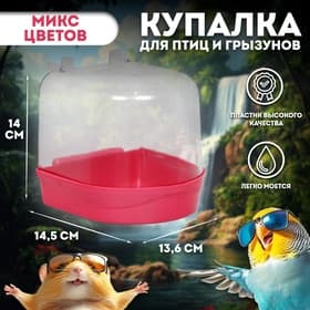 Купалка для птиц, 145×136×140 мм, пластик, цвет МИКС