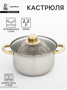 Кастрюля Доляна «Роскошь», 2.2 л, d=19 см, со стеклянной крышкой, капсульное дно, нержавеющая сталь, хромированная
