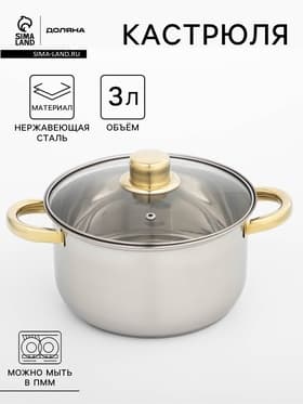 Кастрюля Доляна «Роскошь», 3 л, d=20 см, с крышкой, нержавеющая сталь, капсульное дно