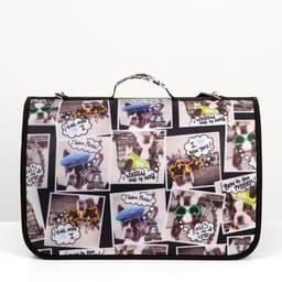 Сумка - переноска для животных с принтом, 46×28.5×30 см, цвет МИКС