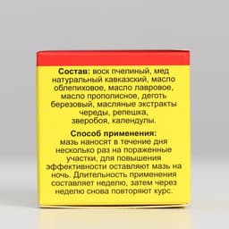 Мазь монастырская «От псориаза», 25 мл