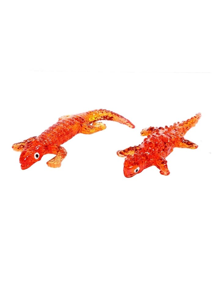 Липучка «Игуана», цвета МИКС