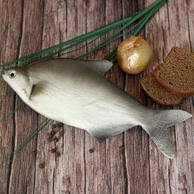 Муляж «Рыба лещ», 10×30 см
