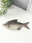 Муляж «Рыба лещ», 10×30 см