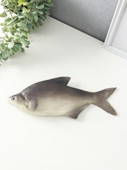 Муляж «Рыба лещ», 10×30 см