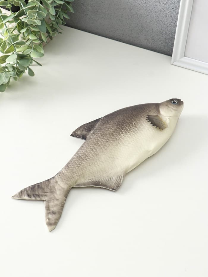 Муляж «Рыба лещ», 10×30 см