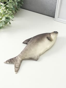 Муляж «Рыба лещ», 10×30 см