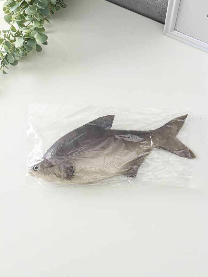 Муляж «Рыба лещ», 10×30 см