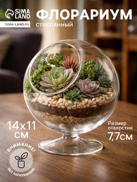 Флорариум «Натурель», сфера, 14×11 см, d=7.7 см