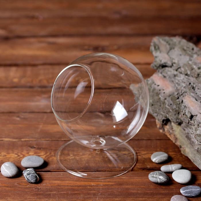 Флорариум «Натурель», сфера, 14×11 см, d=7.7 см