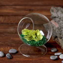 Флорариум «Натурель», сфера, 14×11 см, d=7.7 см