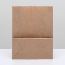 Пакет крафт бумажный фасовочный, прямоугольное дно 22×12×29 см