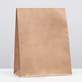 Пакет крафт бумажный фасовочный, прямоугольное дно 26×15×34 см
