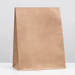 Пакет крафт бумажный фасовочный, прямоугольное дно 26×15×34 см
