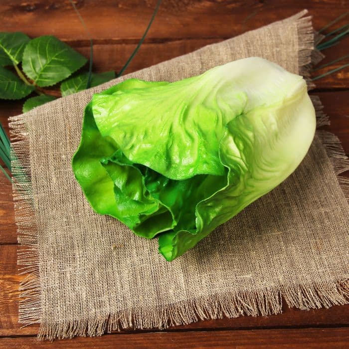 Муляж «Листья салата», 17 см
