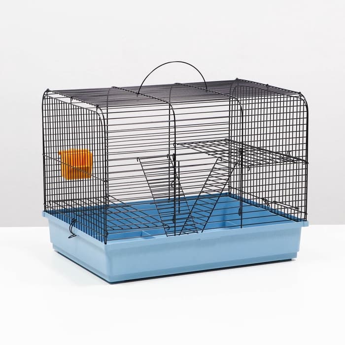 Клетка для грызунов «Сеня 2», 50×37×37 см, цвет МИКС