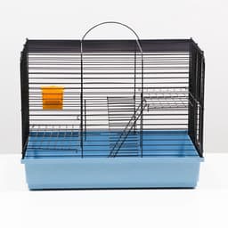Клетка для грызунов «Сеня 2», 50×37×37 см, цвет МИКС