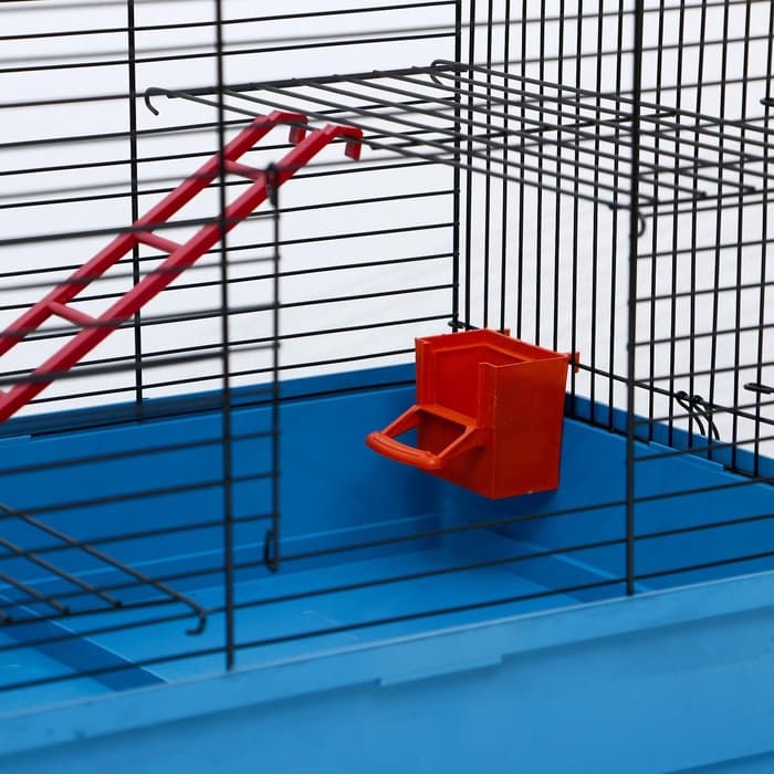 Клетка для грызунов «Сеня 2», 50×37×37 см, цвет МИКС