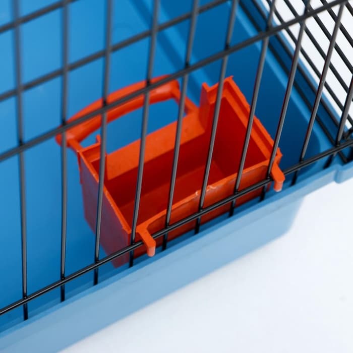 Клетка для грызунов «Сеня 2», 50×37×37 см, цвет МИКС