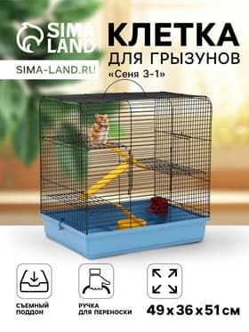 Клетка для грызунов "Сеня 3-1", 49×36×51 см, цвет МИКС