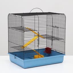 Клетка для грызунов "Сеня 3-1", 49×36×51 см, цвет МИКС