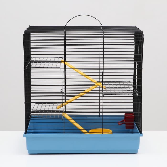 Клетка для грызунов "Сеня 3-1", 49×36×51 см, цвет МИКС
