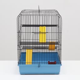 Клетка для грызунов "Сеня 3-1", 49×36×51 см, цвет МИКС