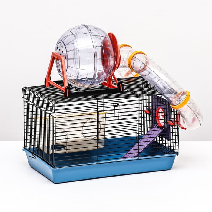 Клетка для грызунов малая, 40×25×22 см, с лабиринтом, колесом и домом, цвет МИКС