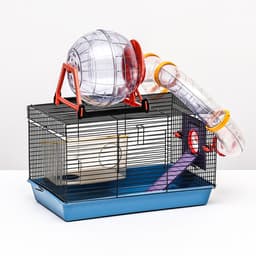 Клетка для грызунов малая, 40×25×22 см, с лабиринтом, колесом и домом, цвет МИКС
