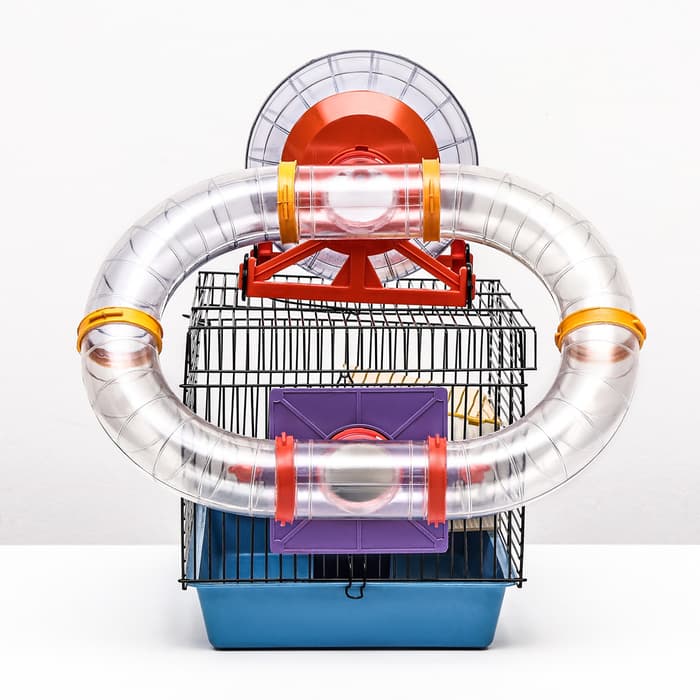 Клетка для грызунов малая, 40×25×22 см, с лабиринтом, колесом и домом, цвет МИКС