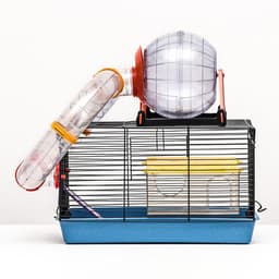 Клетка для грызунов малая, 40×25×22 см, с лабиринтом, колесом и домом, цвет МИКС