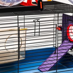 Клетка для грызунов малая, 40×25×22 см, с лабиринтом, колесом и домом, цвет МИКС