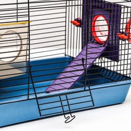 Клетка для грызунов малая, 40×25×22 см, с лабиринтом, колесом и домом, цвет МИКС