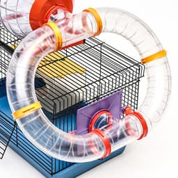 Клетка для грызунов малая, 40×25×22 см, с лабиринтом, колесом и домом, цвет МИКС