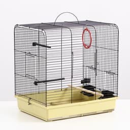 Клетка «Грация», 49×36×51 см, 3 яруса, цвет МИКС