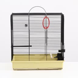 Клетка «Грация», 49×36×51 см, 3 яруса, цвет МИКС