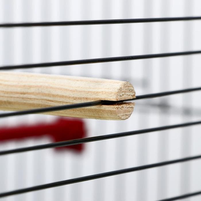 Клетка «Грация», 4 яруса, 50×36×65 см, микс цветов