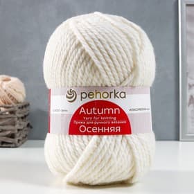 Пряжа для вязания спицами, крючком «Пехорский текстиль. Осенняя», 25% шерсть, 75% ПАН, 150 м/200 г, (01 белый)