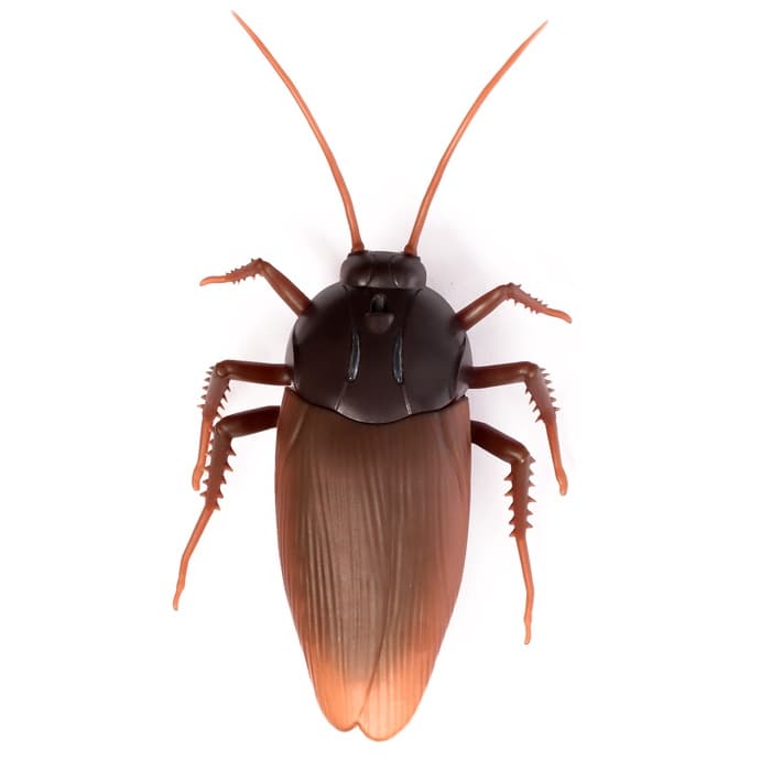 Жук радиоуправляемый «Таракан», работает от батареек, свет